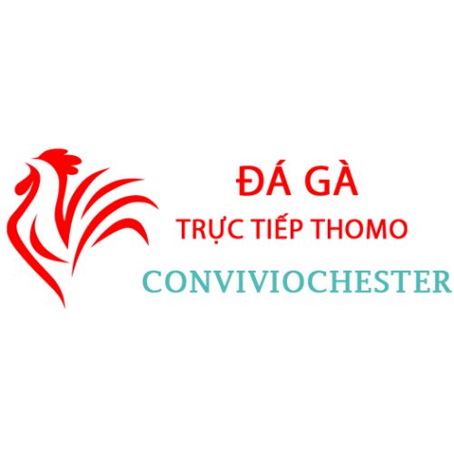 The avatar image for Đá Gà Trực Tiếp Thomo
