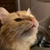 @llnn4ll profile photo from Twitter