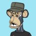 @livelyape profile photo from Twitter