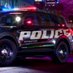 @CardanoPolice profile photo from Twitter