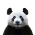 @cardano_panda profile photo from Twitter