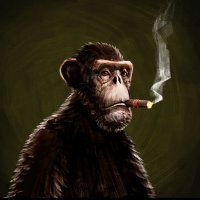@kongsynft profile photo from Twitter