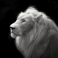 @PromoverCrypto profile photo from Twitter