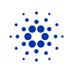 @Cardano profile photo from Twitter