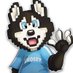 @HoskyAsia profile photo from Twitter