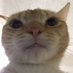 @LazzVEVO profile photo from Twitter