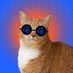 @dyte_io profile photo from Twitter