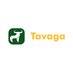 @Tavaga_Invest profile photo from Twitter