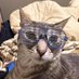@Mason_Cat1 profile photo from Twitter