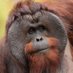 @bad_packet profile photo from Twitter