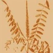 The avatar image for Abigail Mathews