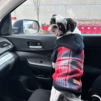 @WafflesMomCodes profile photo from Twitter