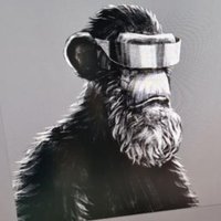 @the_ape_society profile photo from Twitter