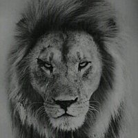 @tjash015 profile photo from Twitter
