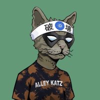 @DiegoShark1987 profile photo from Twitter