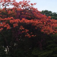 @priya0rao profile photo from Twitter