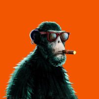 @ponziratti profile photo from Twitter