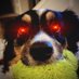 @artofthetrade profile photo from Twitter