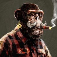 @groddofcrypto profile photo from Twitter