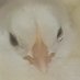 @oldtokens profile photo from Twitter
