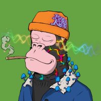 @CryptoJimBo21 profile photo from Twitter
