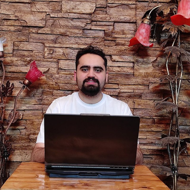 The avatar image for Amir Sani