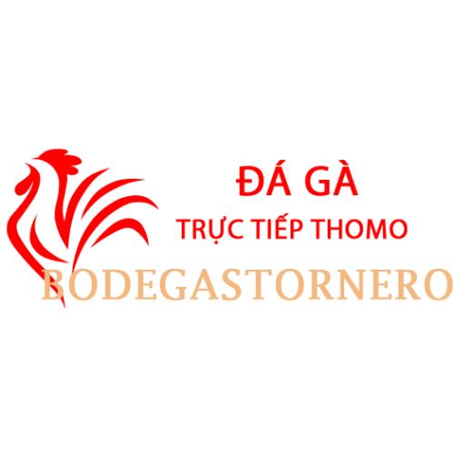 The avatar image for Đá Gà Trực Tiếp Thomo