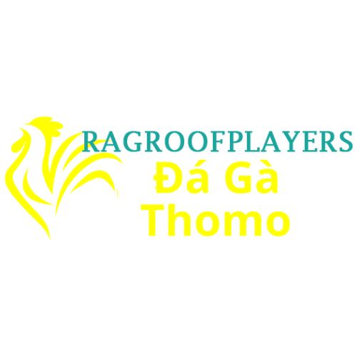 The avatar image for Đá Gà Trực Tiếp Thomo