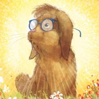 @notamyfromdbt profile photo from Twitter