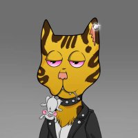 @Cardawesome2026 profile photo from Twitter