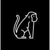 Primitive Agency profile photo from LinkeIn