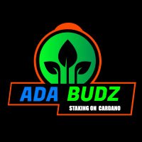 @adabudzNFT profile photo from Twitter