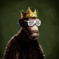 @CardanoShield profile photo from Twitter