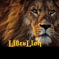 @liberlion17 profile photo from Twitter