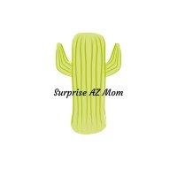@surpriseazmom profile photo from Twitter