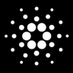 @CryptoWildcat74 profile photo from Twitter