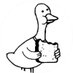 @TheVeller profile photo from Twitter