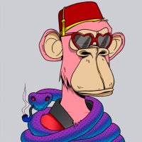 @SatoshiLlama profile photo from Twitter