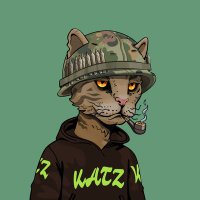 @CryptoChaman profile photo from Twitter