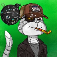 @addictednfthead profile photo from Twitter