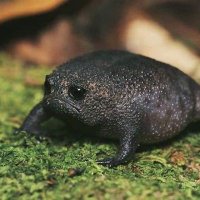 @DeFroppy profile photo from Twitter
