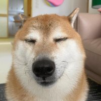 @goz_gus profile photo from Twitter