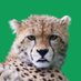 @CheetSheets profile photo from Twitter