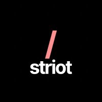 @striotdesign profile photo from Twitter