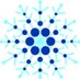 @DecentralIced profile photo from Twitter