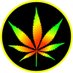 @CardanoWEED profile photo from Twitter
