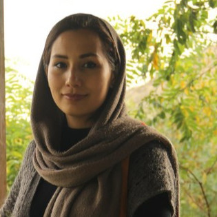The avatar image for Sepideh Lakzaei